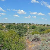 159.31 Acre Oklahoma Farmland and Hunting Land Grandfield OK