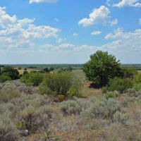 159.31 Acre Oklahoma Farmland and Hunting Land Grandfield OK images 3