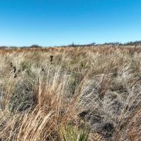 Tee Pee Flats Ranch images 5