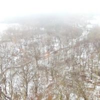 Warren County Illinois 39.5 Acres For Sale images 4