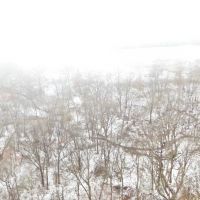 Warren County Illinois 39.5 Acres For Sale images 5