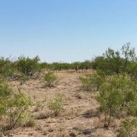 7T5 Ranch images 4