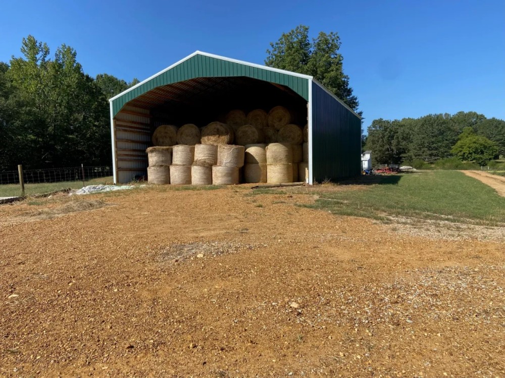 West Tennessee Cattle Row Crop Farm featured image