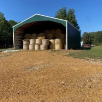 West Tennessee Cattle Row Crop Farm
