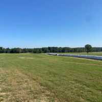 West Tennessee Cattle Row Crop Farm images 3