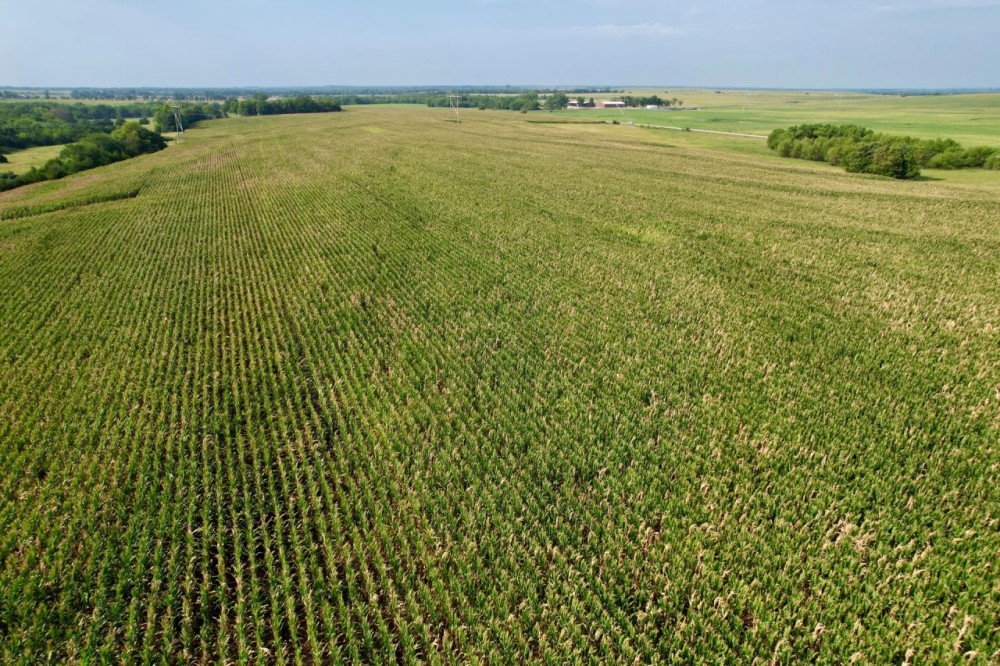 Coffey County Diversified Parcel Near Wolf Creek Power Plant featured image