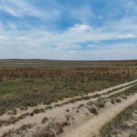 Brown Farm near Limon CO For Sale images 5