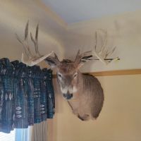Hunting Land for Sale in Vernon County Wisconsin