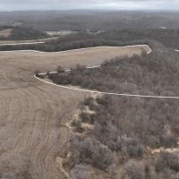 Hunting Land for Sale in Vernon County Wisconsin images 4