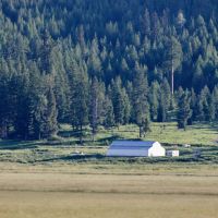 Browns Meadow Ranch images 2