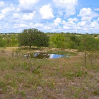 Riverfront Hunting Land in Evant TX images 4