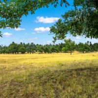 Gillespie County Kent Ranch NW of Fredericksburg images 4