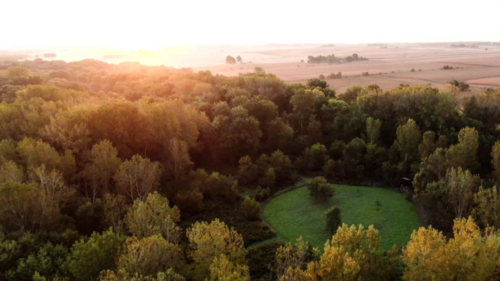 Mercer County Illinois 210 Acres For Sale PRICE REDUCED featured image