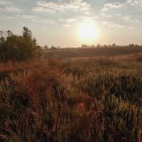 Mercer County Illinois 210 Acres For Sale PRICE REDUCED images 5