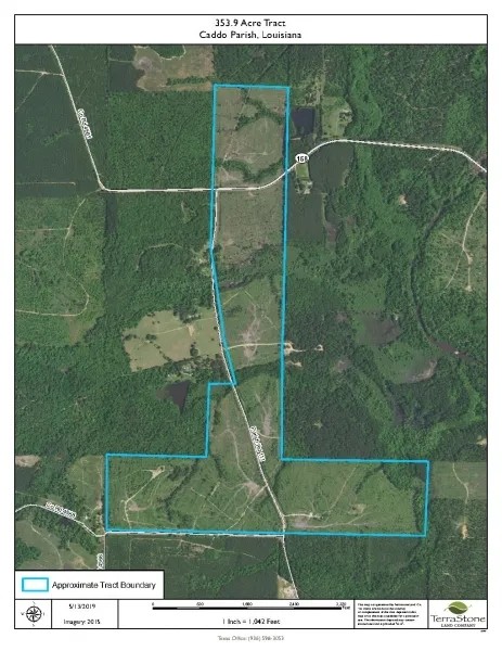 336.68 ACRES CADDO PARISH LOUISIANA featured image
