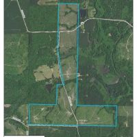 336.68 ACRES CADDO PARISH LOUISIANA images 1