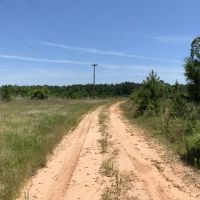 336.68 ACRES CADDO PARISH LOUISIANA images 4