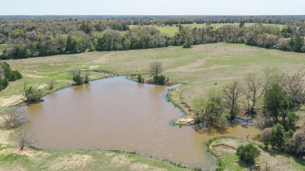 133.59 Acres in Robertson County featured image