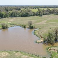 133.59 Acres in Robertson County