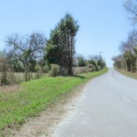 133.59 Acres in Robertson County images 2