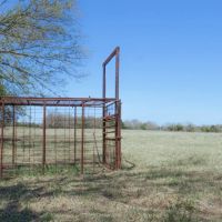 133.59 Acres in Robertson County images 3
