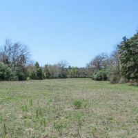 133.59 Acres in Robertson County images 4