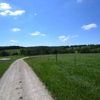 500 Acre Ranch for Sale Wright County MO Farm Lake Home images 5