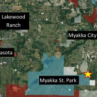 Myakka City 90 - acres Recreational Ranch images 2