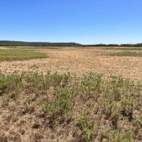 230 - Acres McCulloch Co. images 2