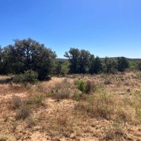 230 - Acres McCulloch Co. images 4