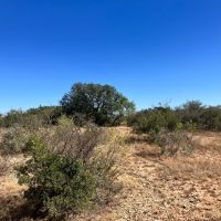 230 - Acres McCulloch Co. images 5