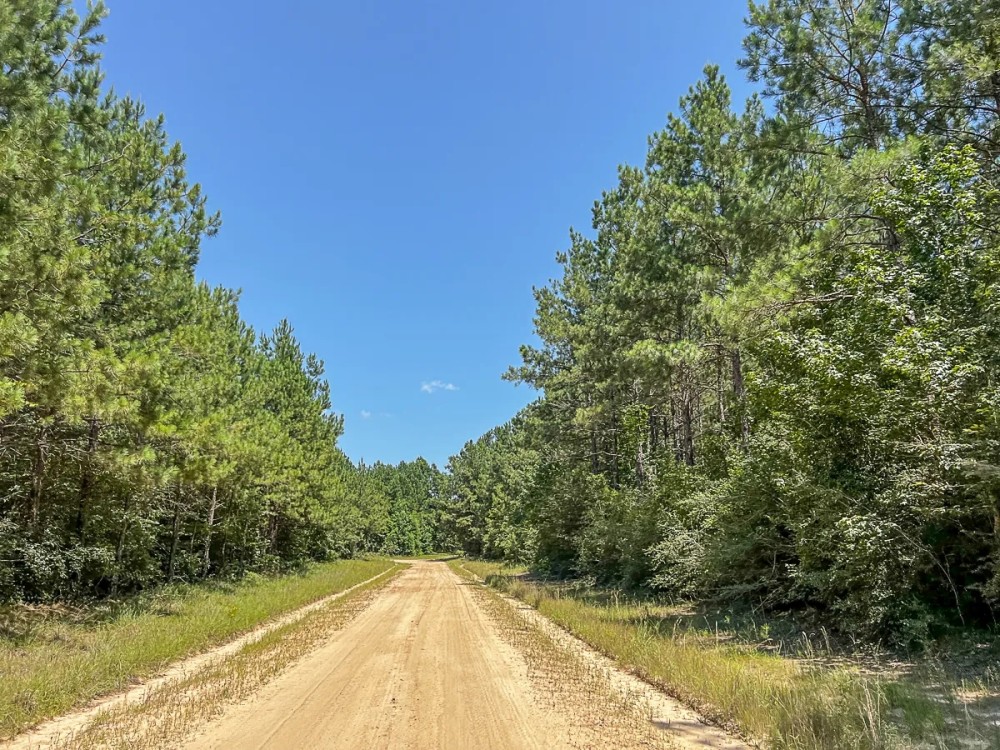 21 Acres T-17 Saron featured image