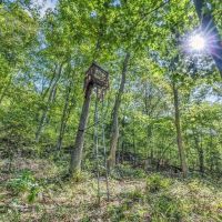 80 Acre Hunting Tract - Oil Wells - Bowling Green Kentucky images 2