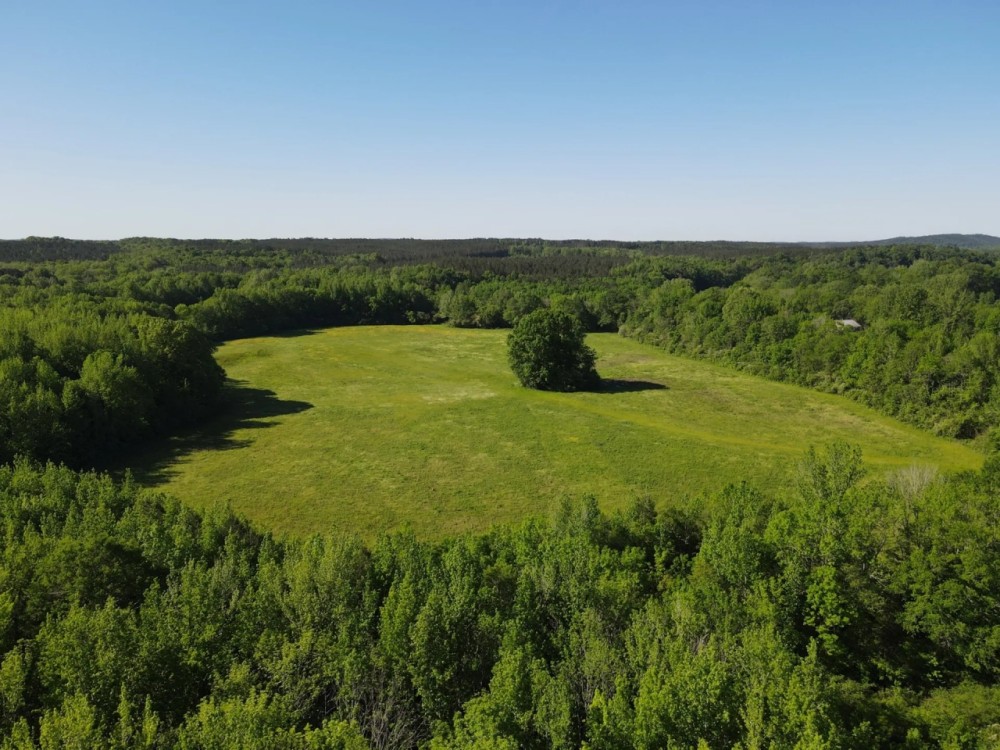 Abanda River Bottoms 84 - acres featured image