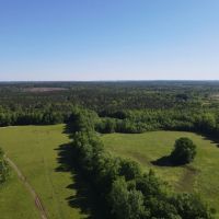 Abanda River Bottoms 84 - acres images 2