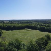 Abanda River Bottoms 84 - acres images 3