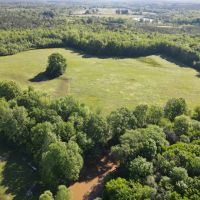 Abanda River Bottoms 84 - acres images 4