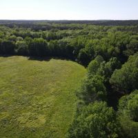 Abanda River Bottoms 84 - acres images 5