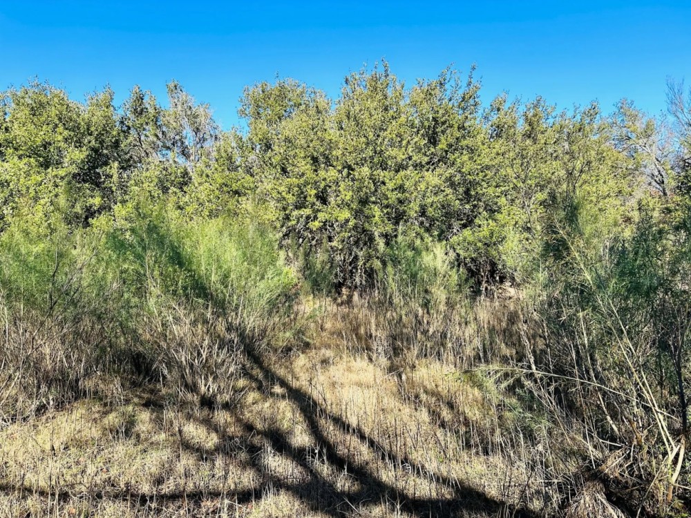 3 - Ac TBD Hwy 206 featured image