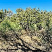 3 - Ac TBD Hwy 206