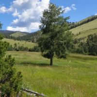 Hunt Elk Deer Bear Mountain Lion Colorado Mountain Land images 2