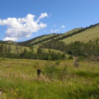 Hunt Elk Deer Bear Mountain Lion Colorado Mountain Land images 4