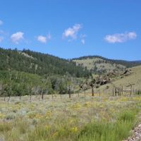 Hunt Elk Deer Bear Mountain Lion Colorado Mountain Land images 5