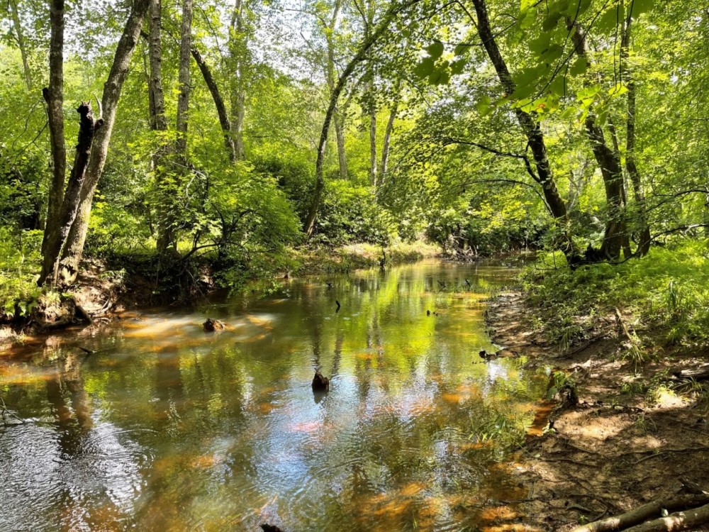 528 ac. Van Buren County TN featured image