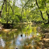 528 ac. Van Buren County TN
