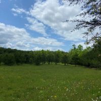 528 ac. Van Buren County TN images 2
