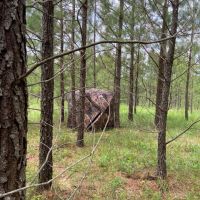 528 ac. Van Buren County TN images 5