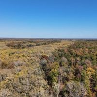 280 Acres in Tallahatchie County MS images 3