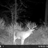 280 Acres in Tallahatchie County MS images 5