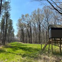 463 Acres in Calhoun County MS images 4